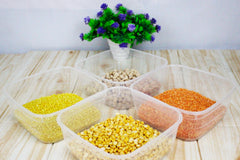 Pack of 12 Salad bowl