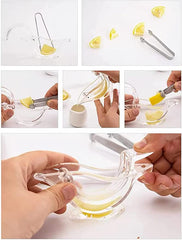 Citrus Manual Juicer
